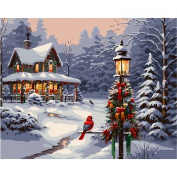 Set Pictura pe numere...