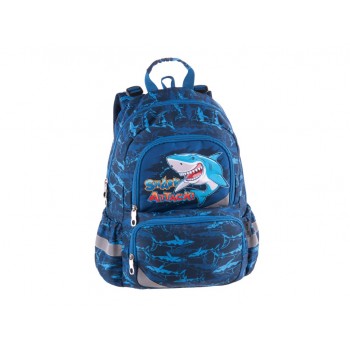 Ghiozdan Pulse Anatomic...