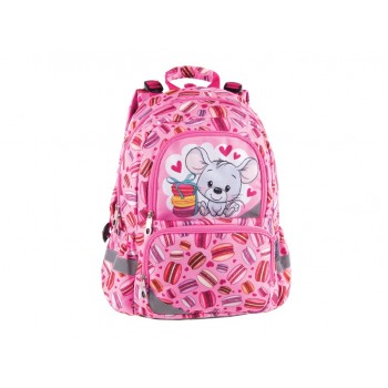 Ghiozdan Pulse Anatomic...